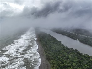 Aerial view, beach and sea, coast with rainforest, Tortuguero National Park, Costa Rica, Central