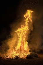 Environmental pollution, fire from discarded Christmas trees, Ostfildern-Plieningen,