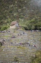 Inca ruins of Machu Picchu, Cusco region, Peru, South America