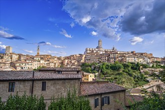 View of old town centre with cathedral, Siena, Tuscany, Italy, Europe