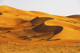 Wind-sculpted curved sand dunes in the Rub al Khali desert, Dhofar province, Arabian Peninsula,