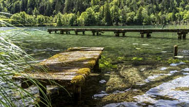 Landscape at Lake Thumsee, Bad Reichenhall, Bavaria, Germany, Europe