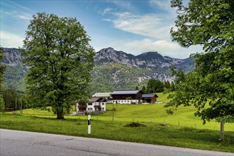 Farmhouses and farmsteads at the Götschenalm, Bichofswiesen, Bavaria, Germany, Europe