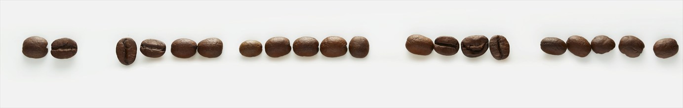 A row of coffee beans on a white background