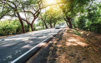 Car driving on an asphalt road surrounded by trees. A car driving on a beautiful road through the