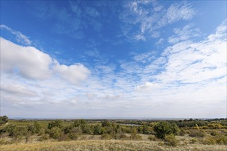 Cloud formation in the sky, low horizon, green landscape, St. Margarethen, Burgenland, Austria,