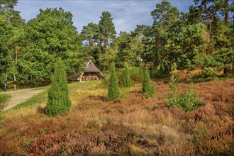 Heath landscape with sheepfold, Bispingen, Lüneburg Heath, Lower Saxony, Germany, Europe