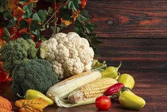 Fresh vegetables, colourful peppers, corn on the corn cob, cauliflower and broccoli