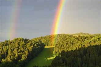 Rainbow in a hilly landscape with forest, Bavarian Forest, Bavaria, Germany, Europe