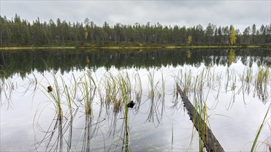 Autumn lakeside, Finland, Europe