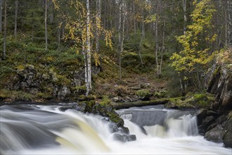 River course in Oulanka National Park, Finland, Europe