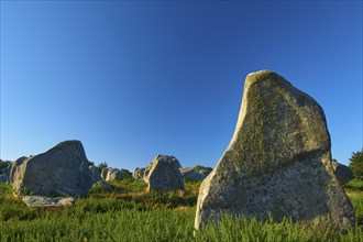 Neolithic menhirs, large standing stones in Carnac, with blue sky in the background, Carnac,