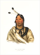 American Indian, Native American, Esh-Ta-Hum-Leah, a Sioux chief, United States of America, USA,