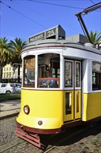 Tram 25, Eléctrico tram, female tram driver, Lisbon, Portugal, Europe