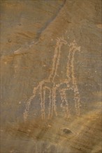 Rock engravings of two giraffes from the Neolithic period, Sabu, Nubia, Sudan, Africa