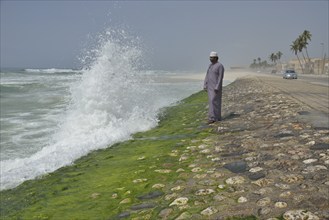 Local man watching the surf at the corniche of Salalah during the monsoon season, or Khareef