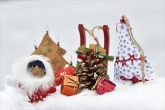 Christmas decoration, Inuit with sleigh and Christmas tree ball and pine cones and Christmas