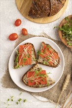 Grain bread sandwiches with red tomato cheese and mizuna cabbage microgreen on gray concrete