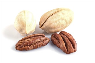 Pile of pecan nuts with shell isolated on white background. close up