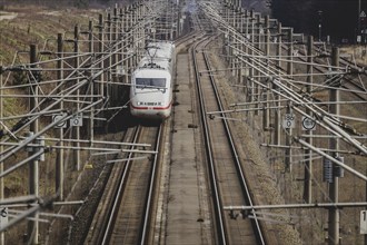 A Deutsche Bahn IC runs between Stendal and Rathenow near Wusterdamm, 26/03/2024