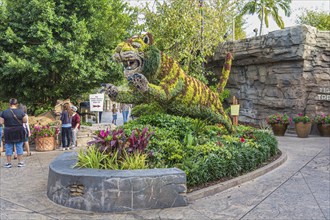 Tiger topiary at Busch Gardens in Tampa, Florida, USA, North America