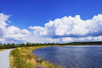 Gallows ponds: The large and small gallows ponds were built in the middle of the 16th century