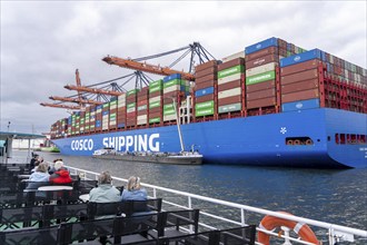 Harbour tour in the seaport of Rotterdam, Maasvlakte 2, container terminals, container ships,