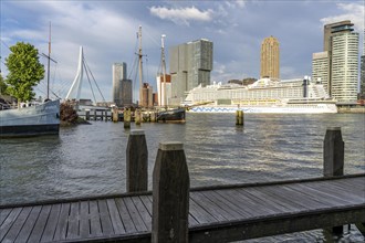 Rotterdam, skyline at the Nieuwe Maas, Erasmus Bridge, skyscrapers at the Kop van Zuid district,