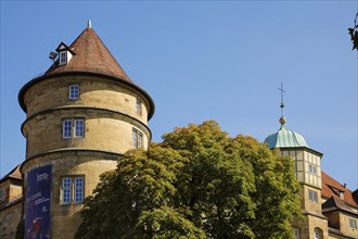 Old Palace Stuttgart from Schillerplatz, former moated palace, princely residence, 14th century