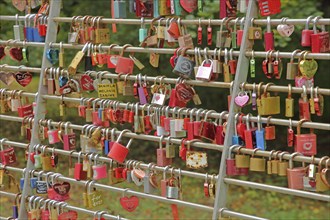 Bars with love locks, many, series, row, number, quantity, metal, symbol, heart, heart-shaped,