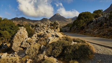 Rugged mountain road with lush vegetation and blue sky, Kallikratis, Kallikratis Gorge, Sfakia,