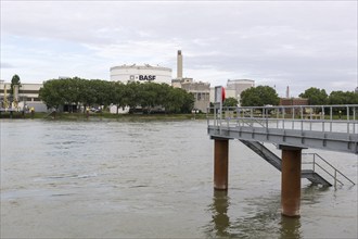 BASF, Lugwigshafen am Rhein, industrial area, jetty, Mannheim, Baden-Württemberg, Germany, Europe