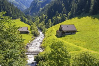 Alpine valley with two houses next to a rushing stream, surrounded by green meadows and wooded