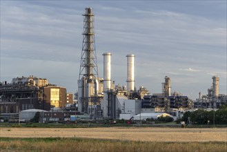 BASF, Lugwigshafen am Rhein, industrial area, dusk, fields, Mannheim, Baden-Württemberg, Germany,