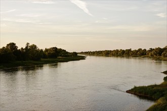 Summer evening on the Elbe near Magdeburg, Saxony-Anhalt, Germany, Europe