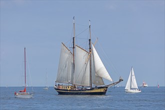 Sailing ship Zuiderzee, sailing boats, Kiel Week, Kiel Fjord, Kiel, Schleswig-Holstein, Germany,