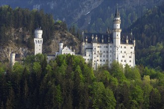 Fairy tale-like white castle with multiple towers, nestled in a lush green forest against a