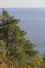 View from the Gnitz peninsula, September, Usedom, Mecklenburg-Western Pomerania, Germany, Europe