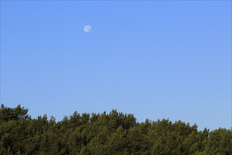 On the Baltic Sea near Koserow, Usedom, September, Mecklenburg-Western Pomerania, Germany, Europe