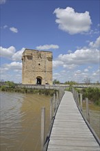 Historic Tour Carbonnière built in 1346, defence defence tower and wooden footbridge over the lake,