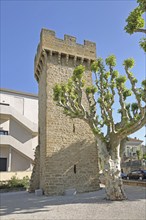 Historic Tour de Tivoli defence defence tower with battlements, town tower, Valréas, Valreas,