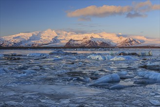 Ice floes in sea in front of glacier and mountains, morning light, Jökulsarlon, Vatnajökull,