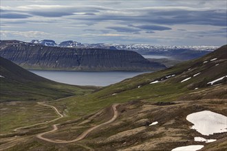 Winding gravel road, mountain road, fjords and mountains behind, summer, cloudy, Westfjords,