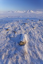 Mountain landscape in winter, snow drifts, evening light, Arctic, Brooks Range, North Slope,