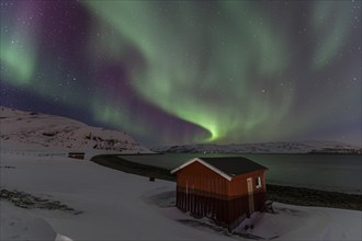 Green and violet northern lights over a red house on the coast, aurora borealis, winter, snow,