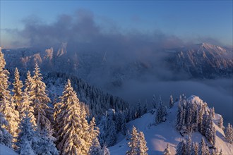 Mountain landscape in winter, evening light, snow, mountain forest, Laber, Ammergau Alps, Upper