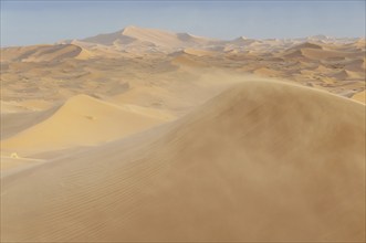 Sand dunes, Erg Chebbi, Sahara, Southern Morocco, Morocco, Africa