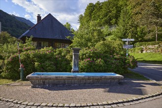 Fountain in the historic district of Geschwend, Todtnau, Black Forest, district of Lörrach,