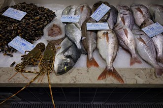 Fish counter, fresh fish, display of fresh fish, crayfish, mussels, bream, perch, market hall,