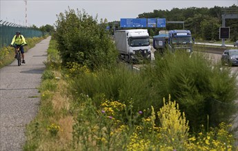 Cyclist at the airport next to traffic on the A5 motorway, Frankfurt am Main, Hesse, Germany,